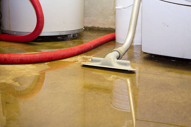 Best Water damage cleanup near me  in North Corbin, KY