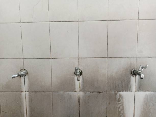 Best Water damage contractors near me  in North Corbin, KY