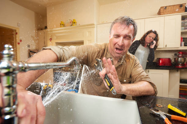 Best Water damage restoration mold remediation  in North Corbin, KY